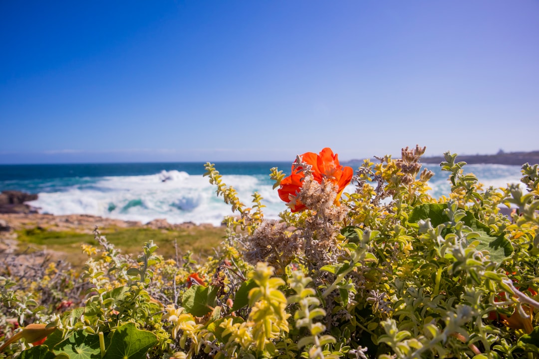 Kapstadt bis St. Francis Bay (Luxus)