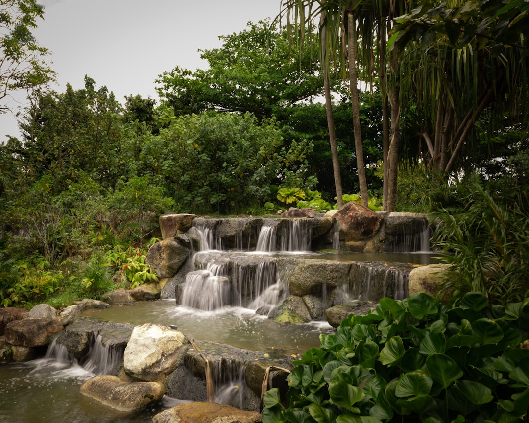 Guyana & Suriname: Unberührter Regenwald & Wasserfälle