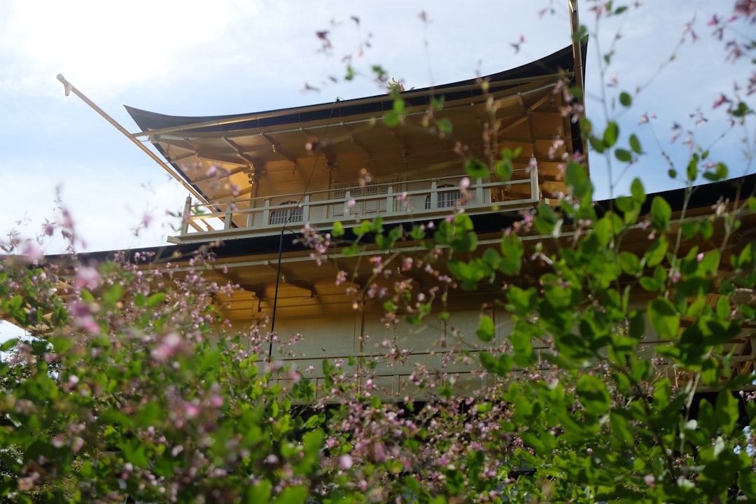 Japan: Tempel, Kirschblüten & Megacities