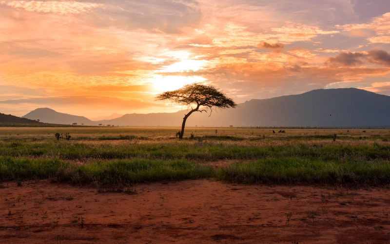 Namibia: Dünen, Wüste & wilde Tiere (Luxus)