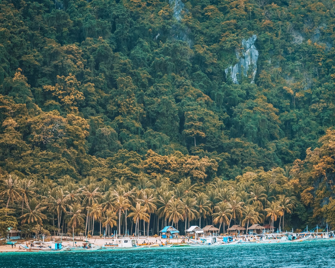Palawan: Türkise Lagunen & Inselparadies